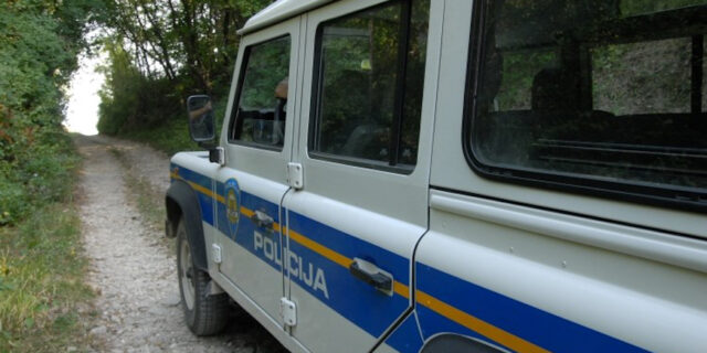 Auto_šuma2