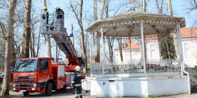 Sisak: Radnici Komunalca i vatrogasci uklanjaju gnijezda vrana