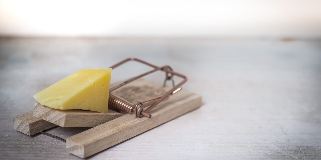 mouse-trap-2846147_1280