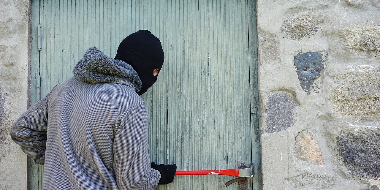 thief-1562699_1280
