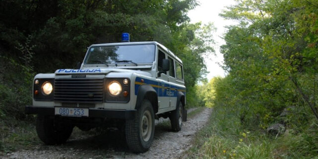 Auto_šuma