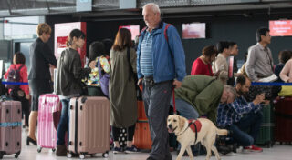 Budući psi pomagači na treningu socijalizacije u Zračnoj luci dr. Franjo Tuđman