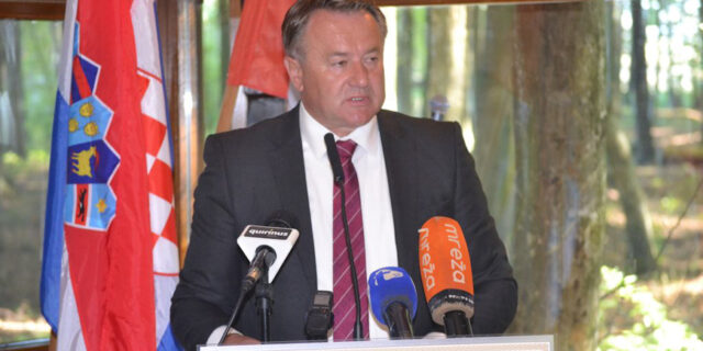 žinić