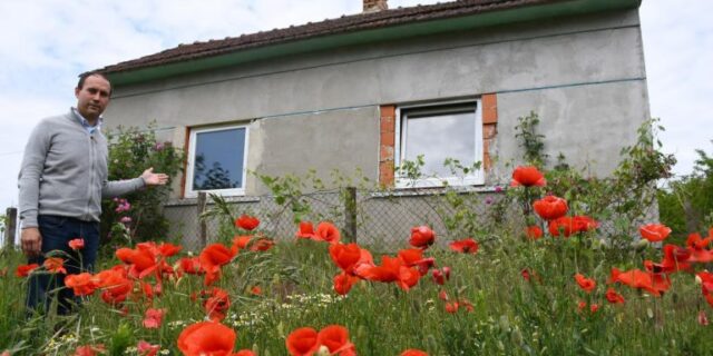 PXL_220520_29016798-768×512