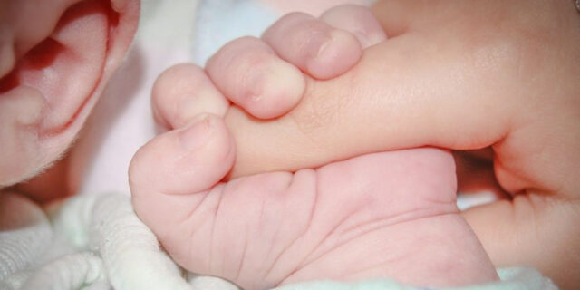 baby-428395_1280-768×511