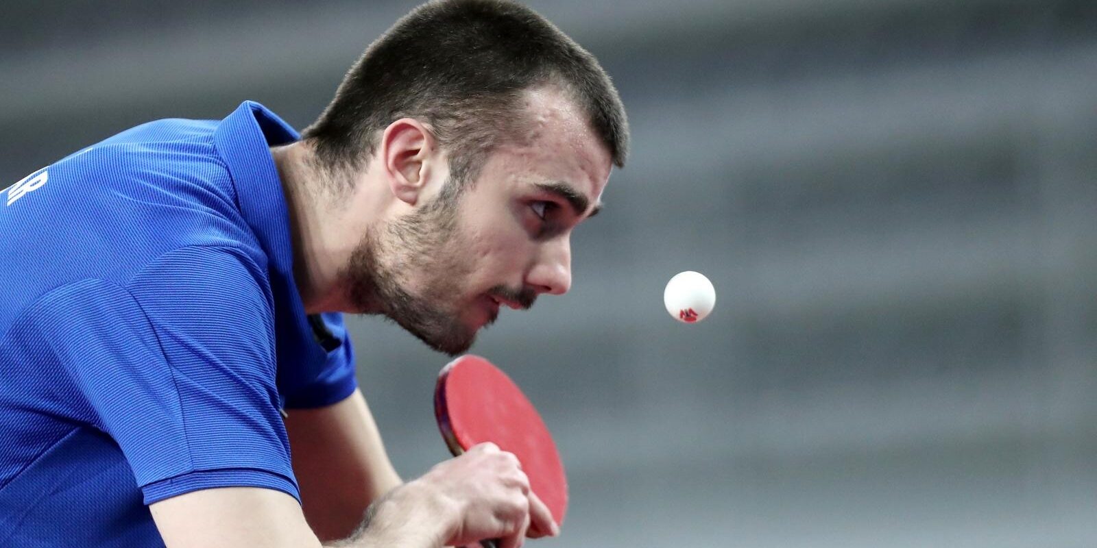 tomislav pucar