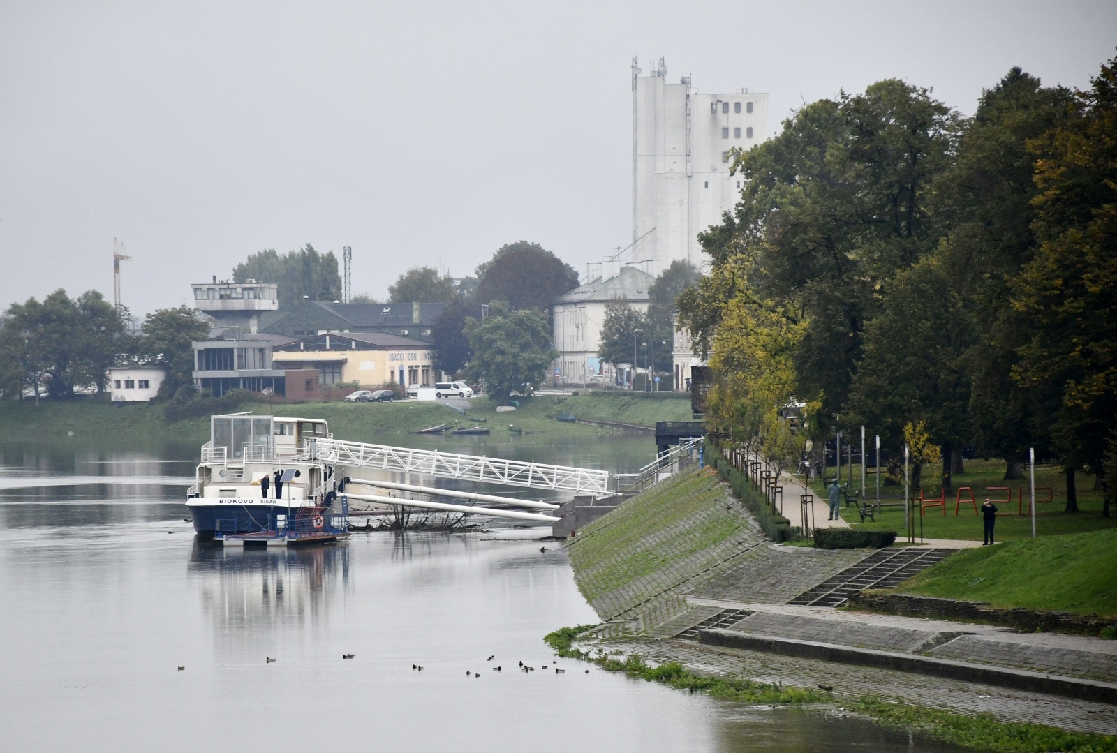 sisak kupa