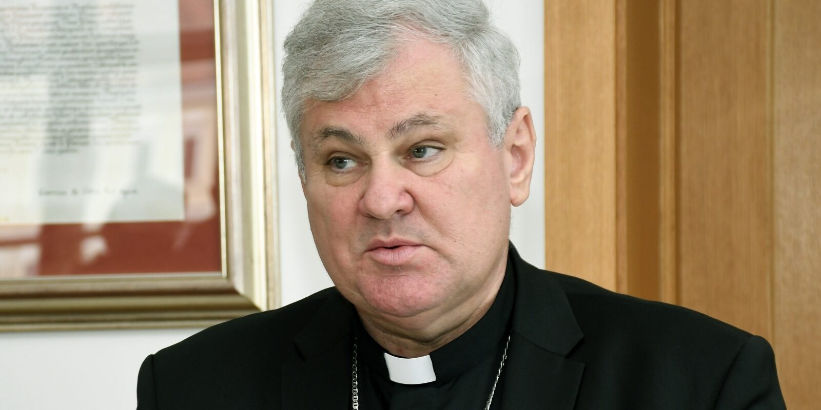 vlado košić