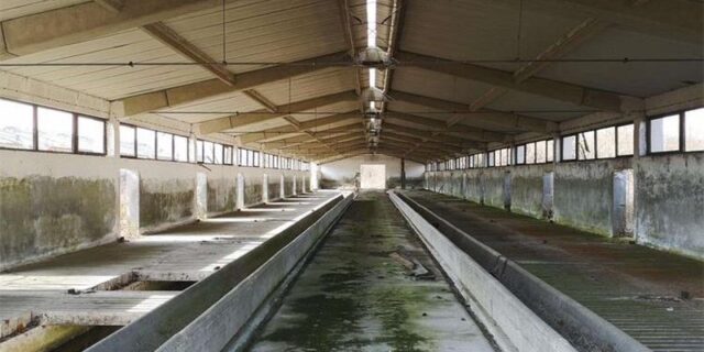 farma maja