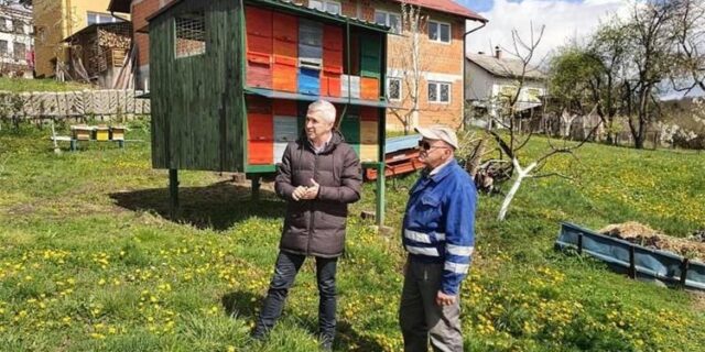pčele hrvatska kostajnica