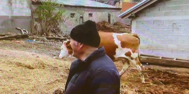 opg vrga povrat stoke