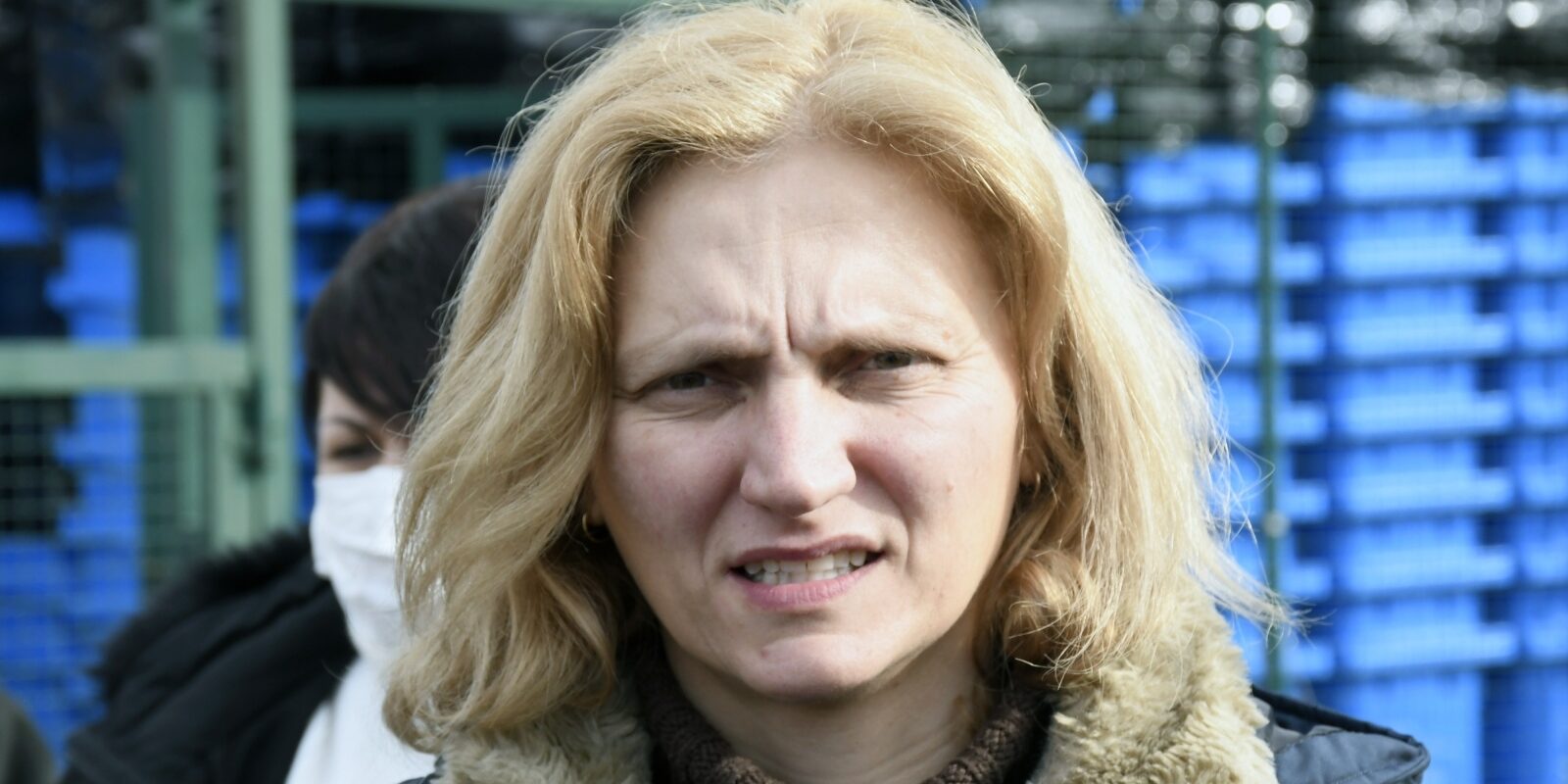 klementina karanović