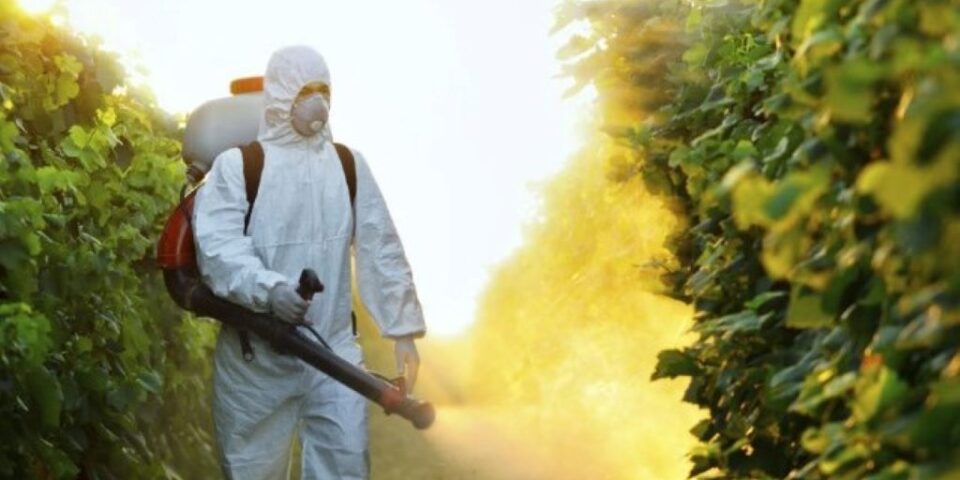pesticidi