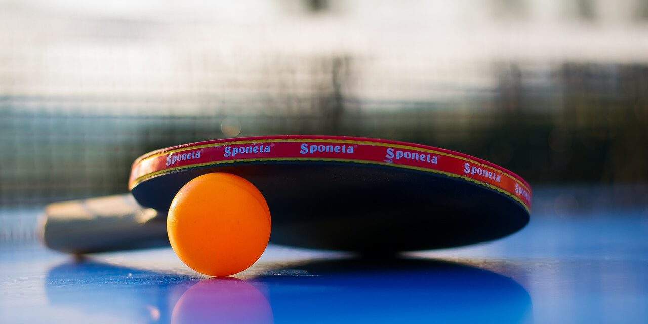 stolni tenis