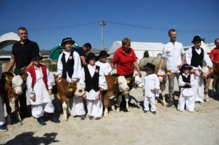 28. jesenski međunarodni sajam i 28. državna stočarska izložba u Gudovcu