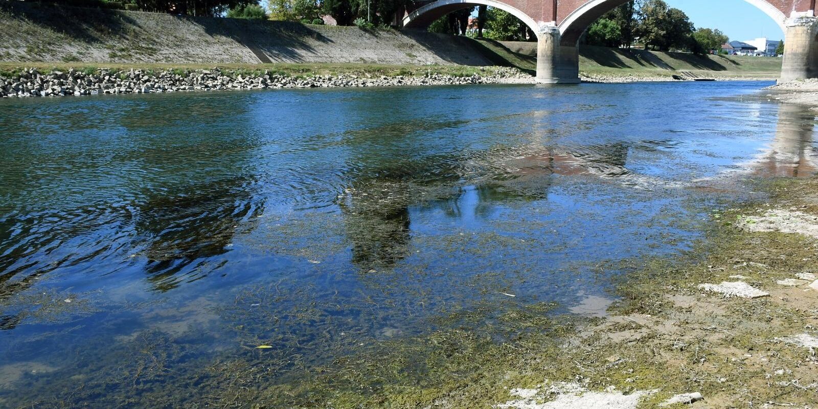Sisak: Nizak vodostaj i topla Kupa pogoduju razvoju raznih algi i riječnog bilja