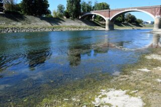 Sisak: Nizak vodostaj i topla Kupa pogoduju razvoju raznih algi i riječnog bilja