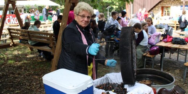 planinarska kestenijada