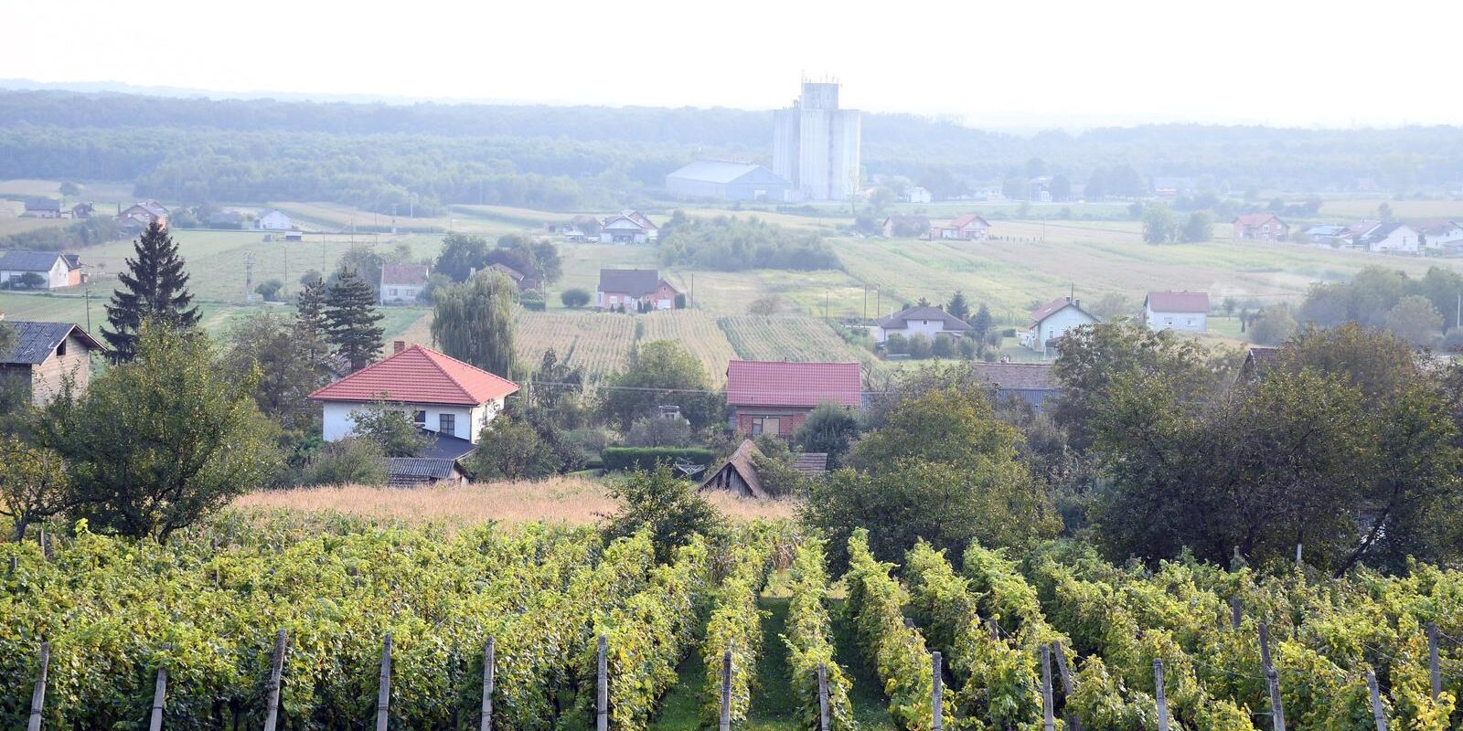 moslavina
