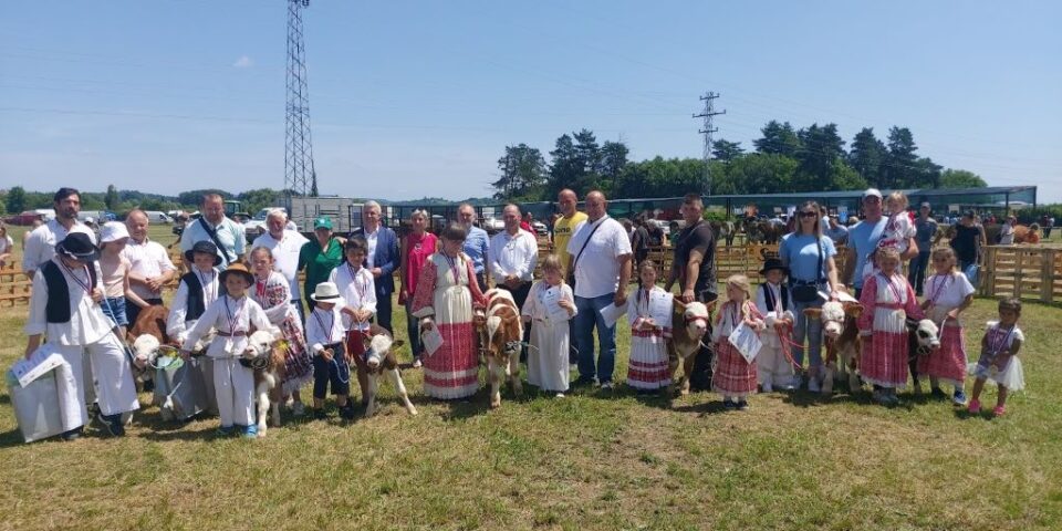 izložba stoke popovača