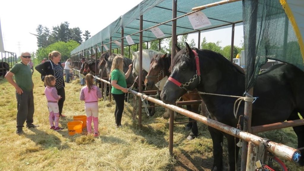 izložba stoke popovača