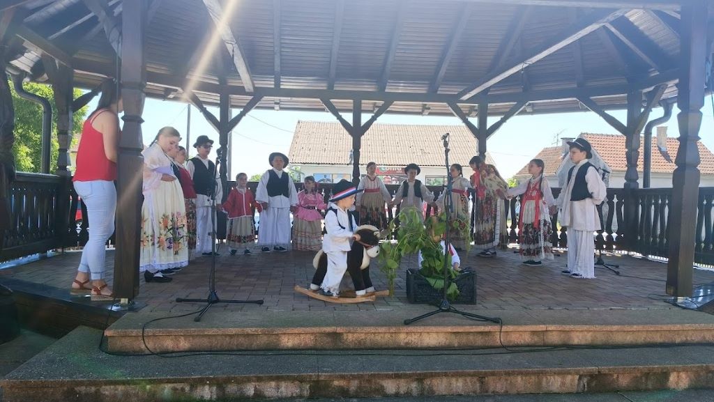 vidovo stružec