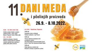 DANI_MEDA_2022-_web