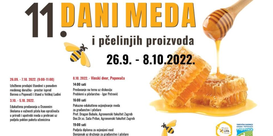 DANI_MEDA_2022-_web