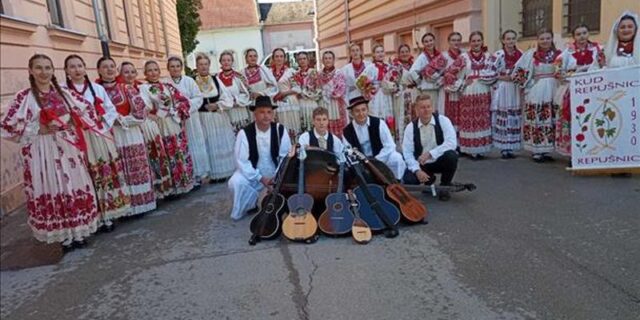 kud repušnica