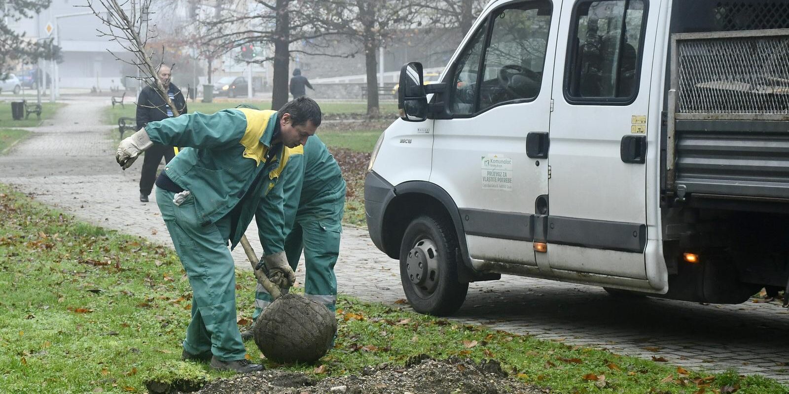 Sisak je dobio 170 novih stabala u gradskoj akciji “Zeleni Sisak za zeleni planet”