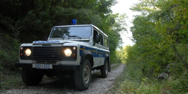 Auto_šuma