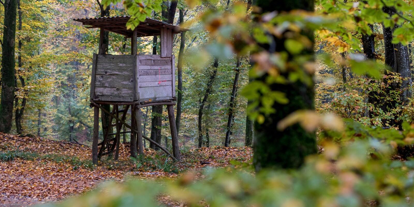 Lovačka čeka