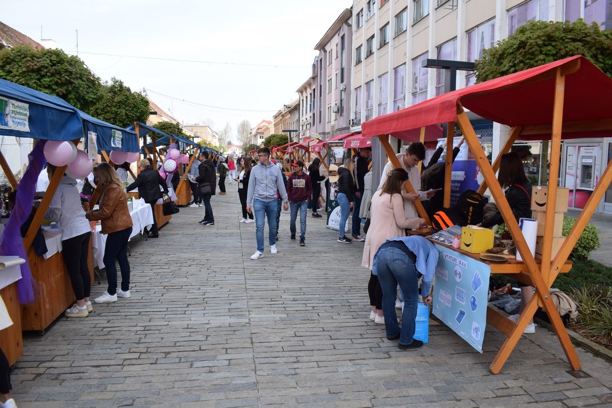 festival srednjih škola