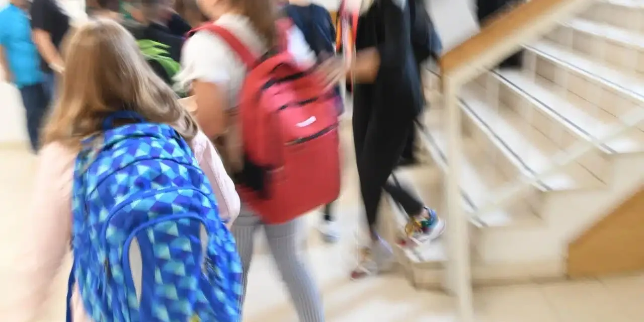 škola učenik učenici