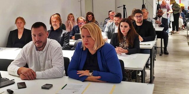 gradsko vijeće grada siska