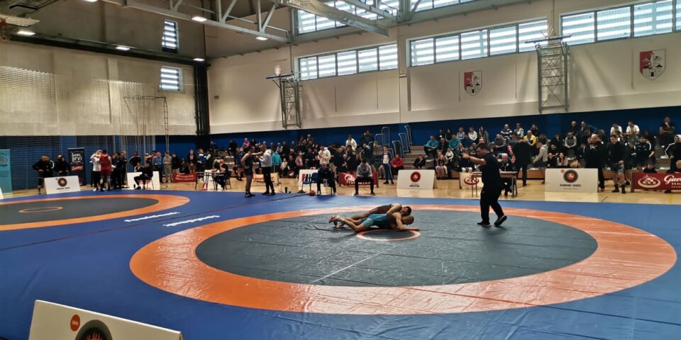 419026089_746102247476870_6535193785496168324_n