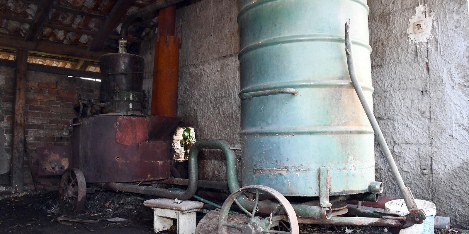 rakija