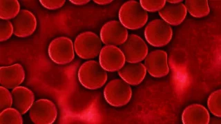 blood-plasma-75302_1280.jpg