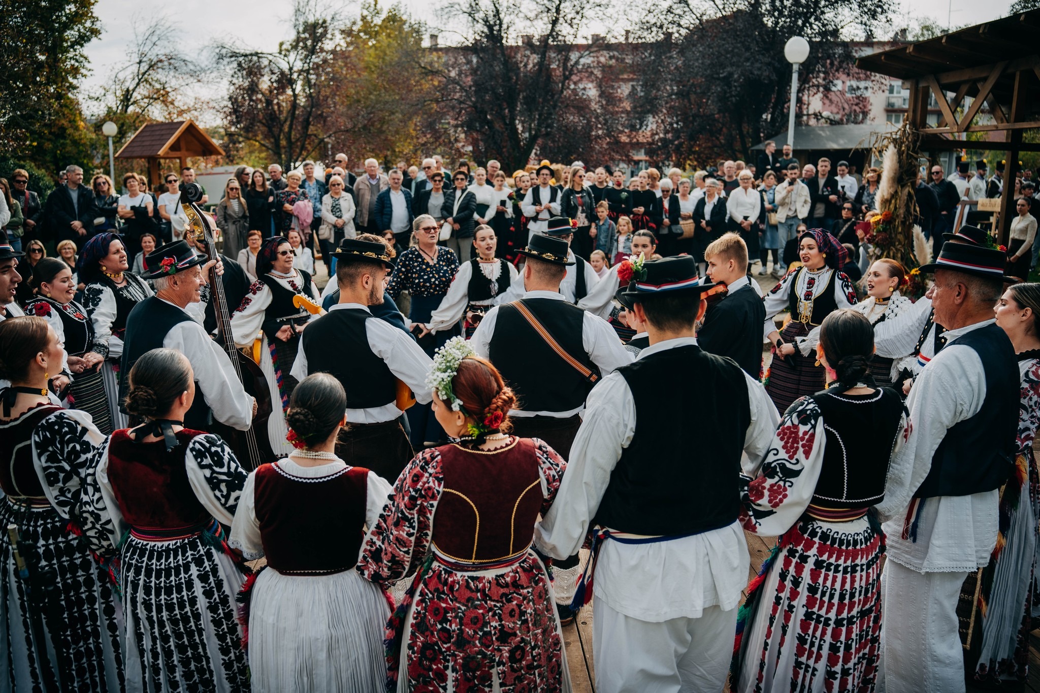 kudkolo (1)