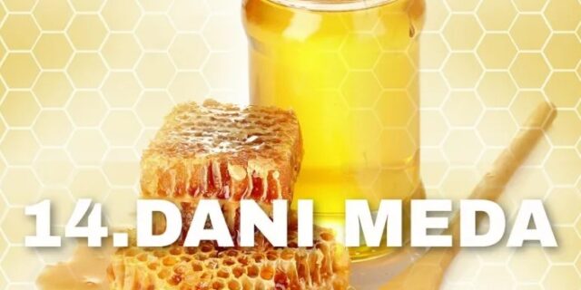 14.danimeda-nn