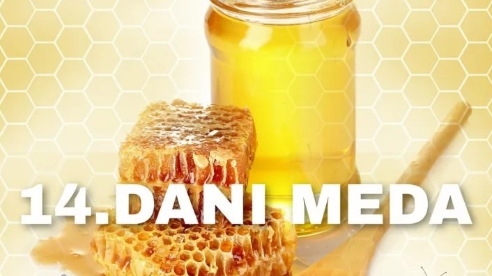 14.danimeda-nn