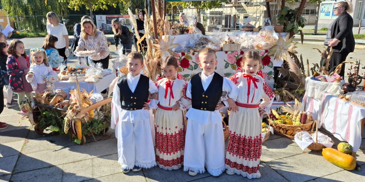 3882_WhatsApp_Image_2025_10_12_at_13.04.27_3