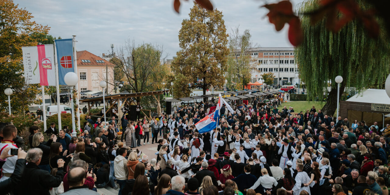 naslovna