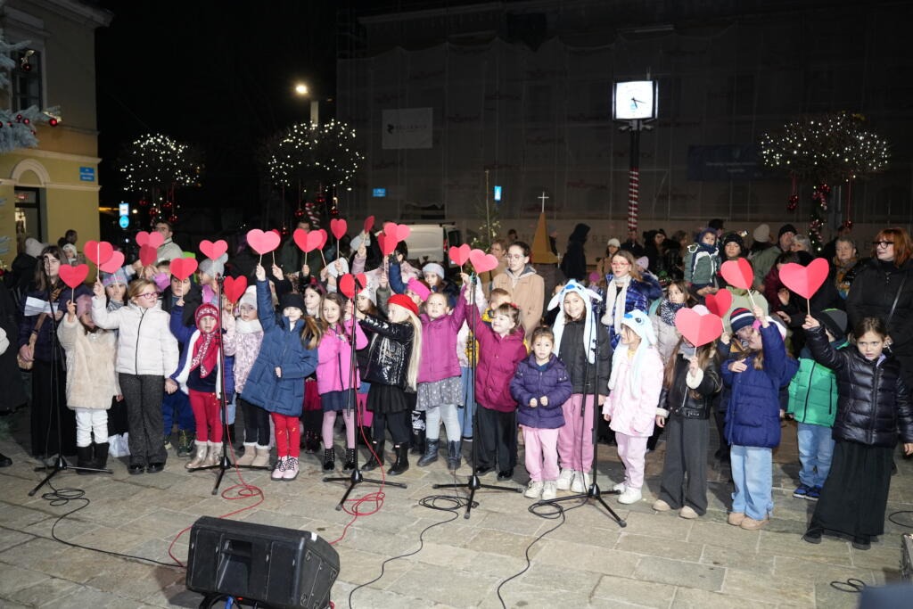 DSC00588-1024×683