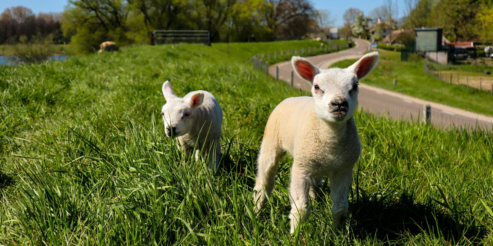 pexels-sam-emmers-2714355-4264432