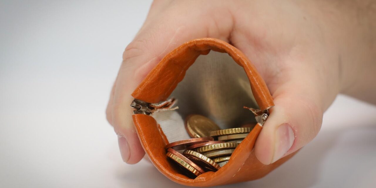 Novčanik za kovanice