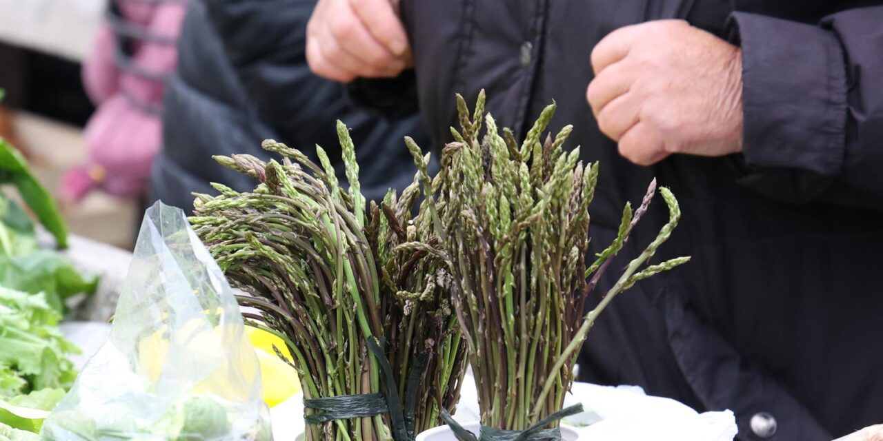 �ibenik: Raznovrsna ponuda na gradskoj tr�nici