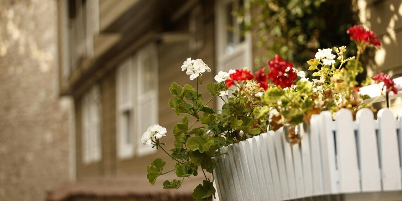 pexels-bayram-yalcin-86843184-33906628-1280×853