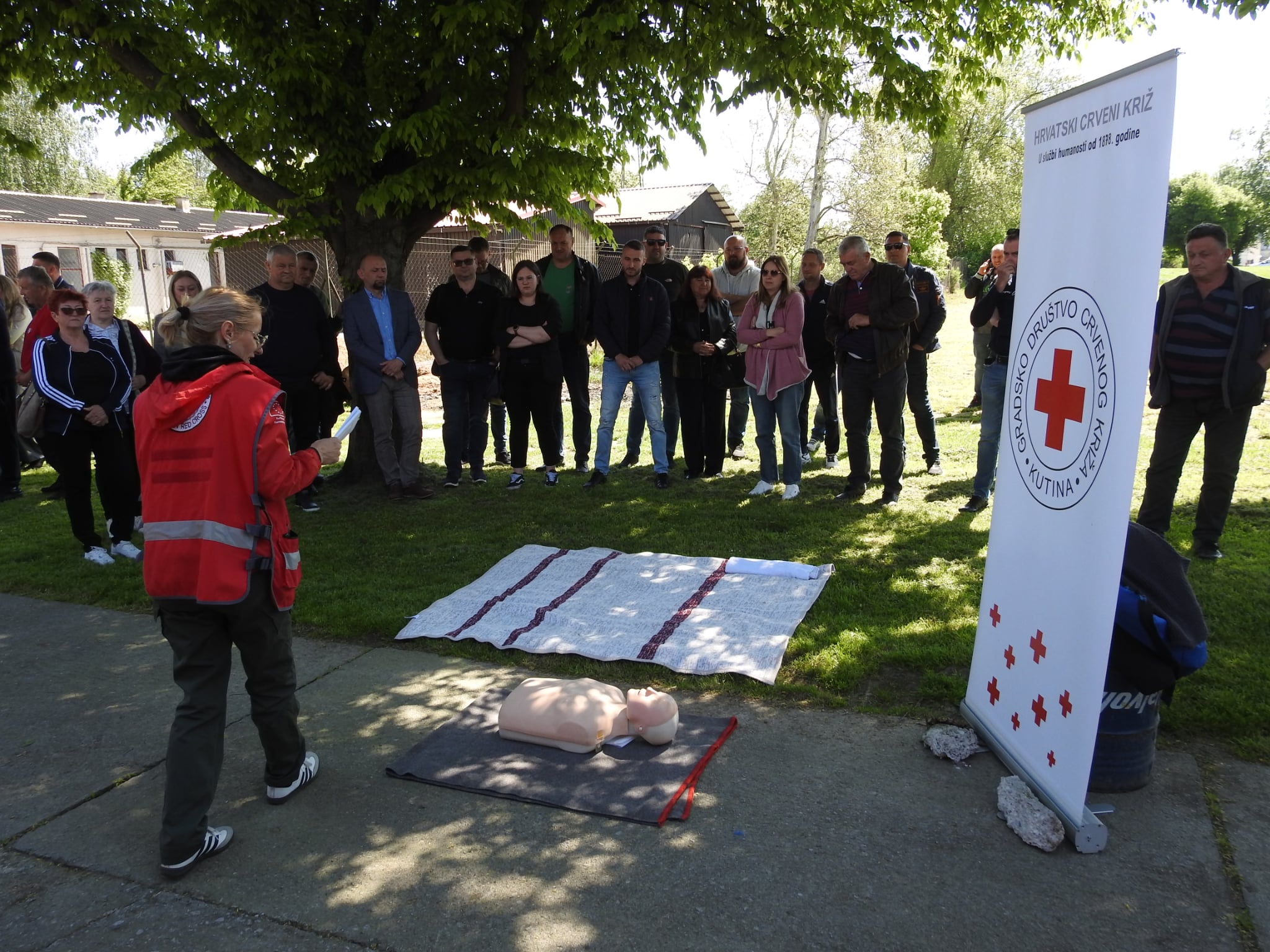 6433_WhatsApp_Image_2026_04_28_at_11.11.34_4