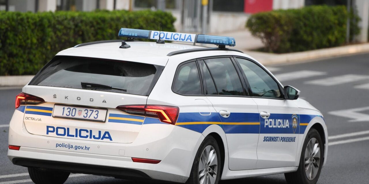 policija